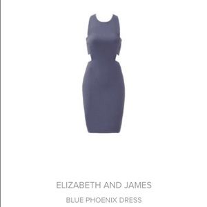Slate blue Phoenix dress by Elizabeth and James